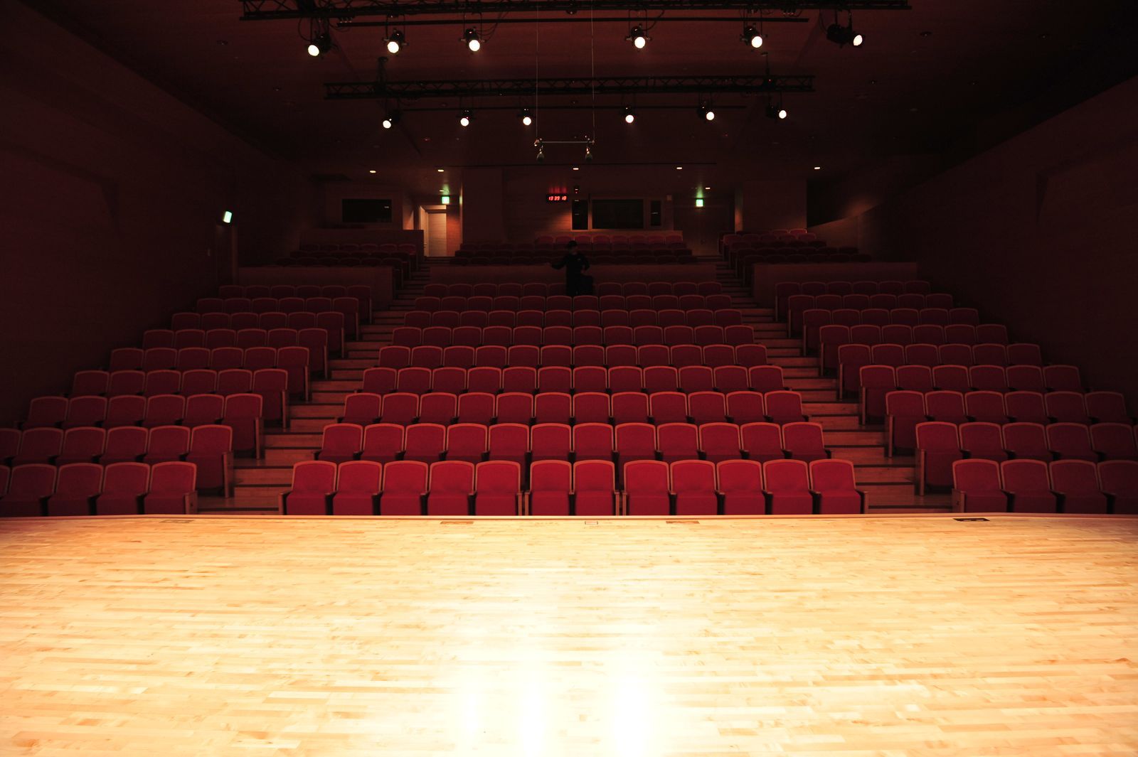A theater auditorium as an example of a high-traffic soft target